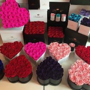 Meet your Posher, Gabby